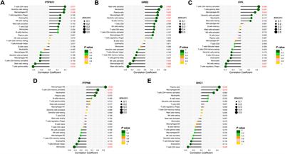 Integrated identification of key immune related genes and patterns of immune infiltration in calcified aortic valvular disease: A network based meta-analysis